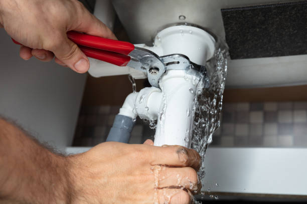 Best Professional water damage repair  in Southside Place, TX