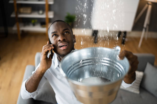 Best Flood damage cleanup  in Southside Place, TX