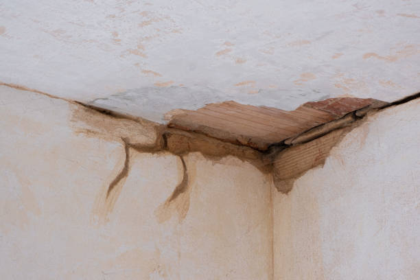 Best Local water damage restoration  in Southside Place, TX