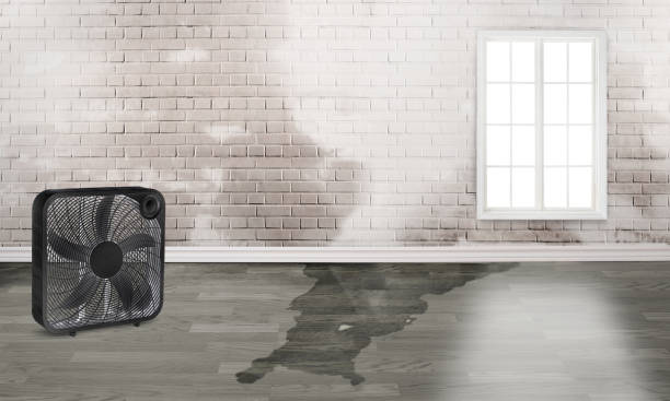  Southside Place, TX Water damage restoration Pros