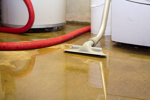 Best Flooded house restoration  in Southside Place, TX