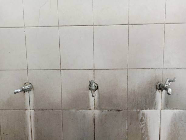 Best Sewage cleanup and water damage restoration  in Southside Place, TX