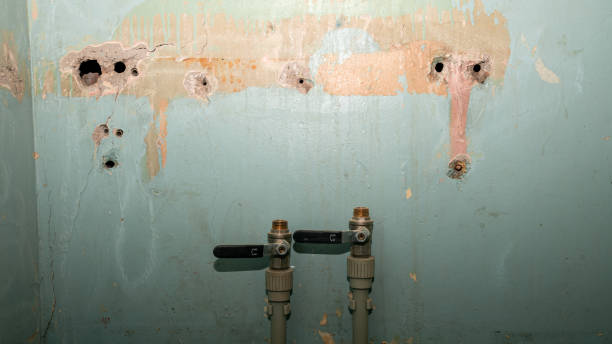 Best Commercial water damage restoration  in Southside Place, TX