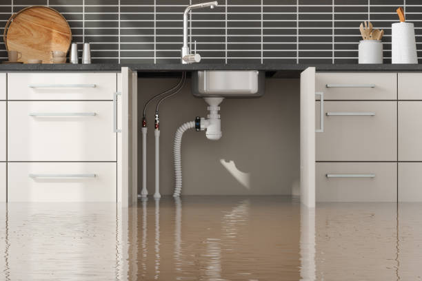 Best Water damage restoration near me  in Southside Place, TX